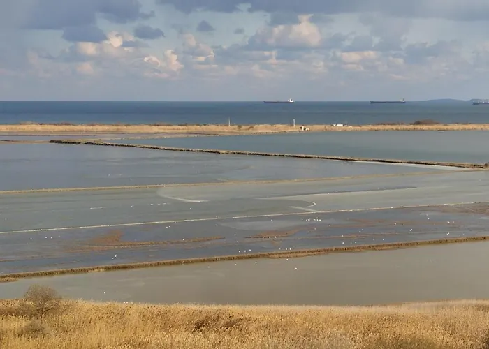 アパート Drago Free Parking